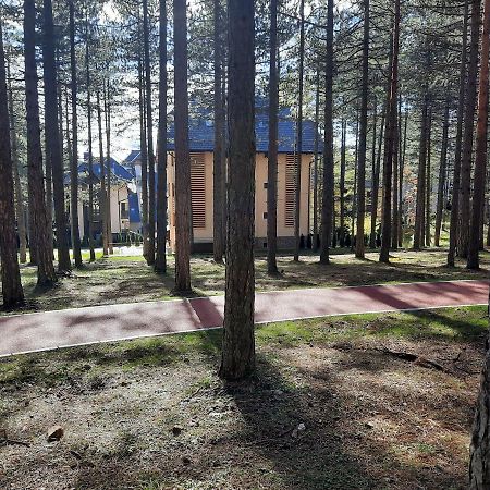 Zlatibor M Appartement Buitenkant foto